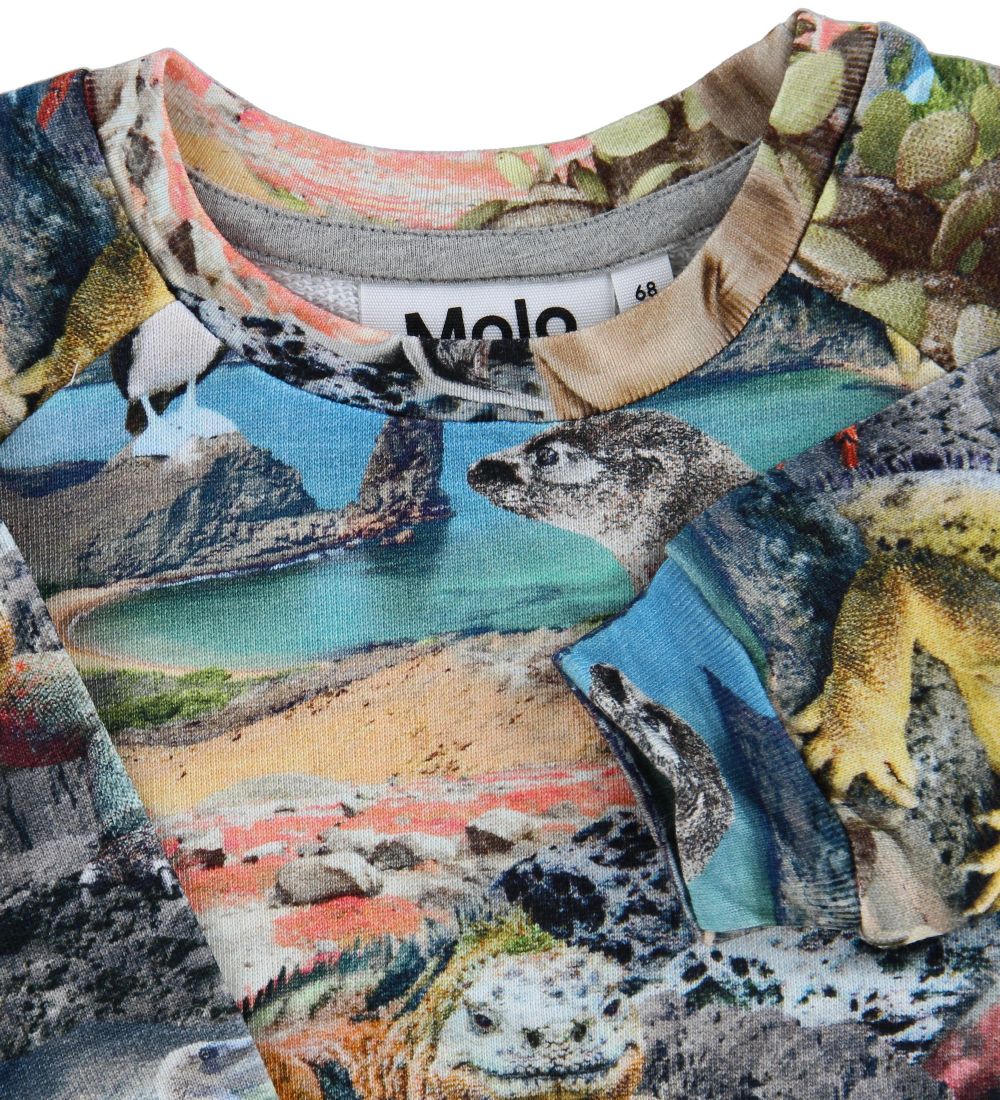 Molo Sweatshirt - Day - Galapagos Wildlife