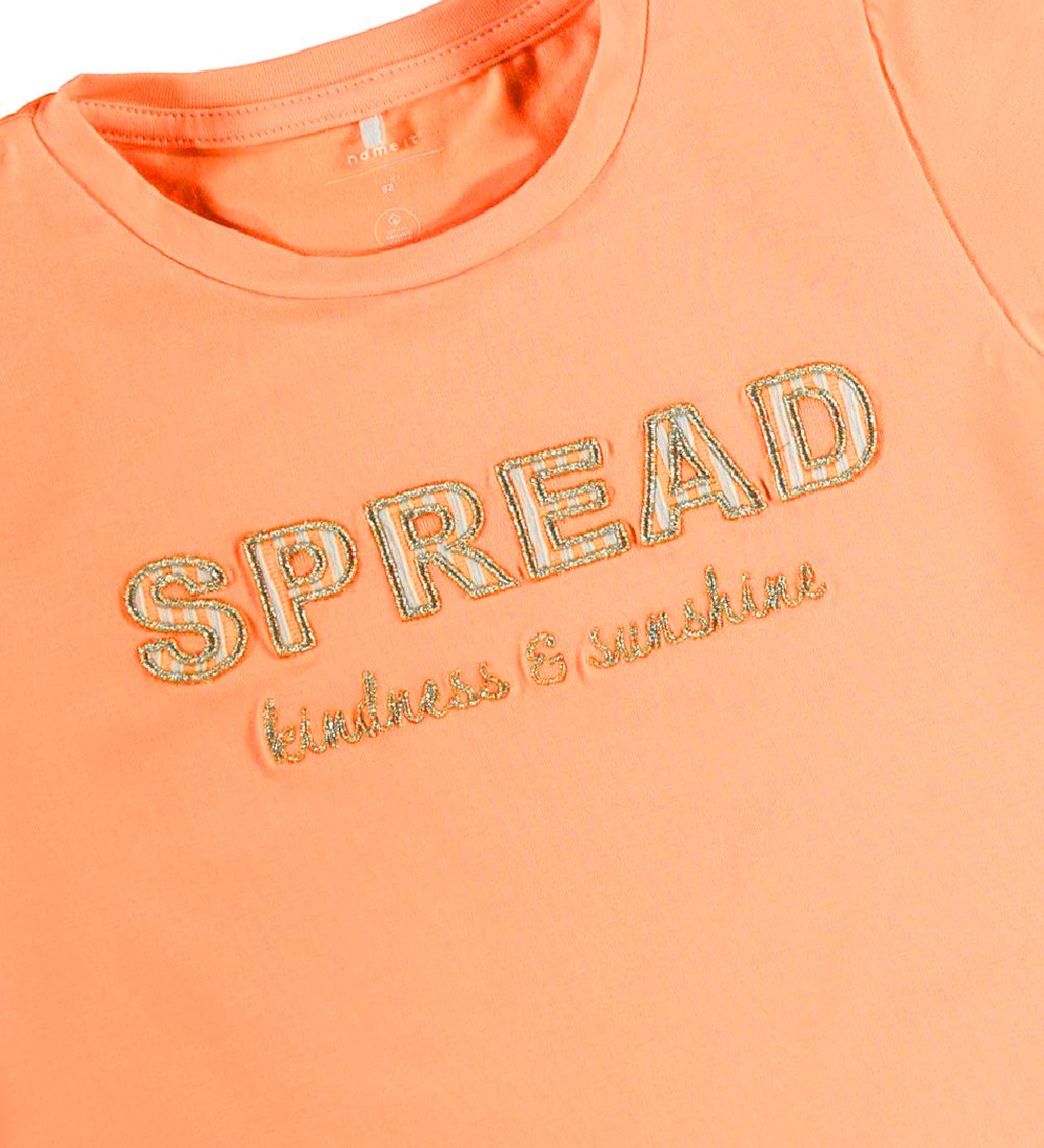 Name It T-shirt - NmfFami - Cantaloupe w. Text