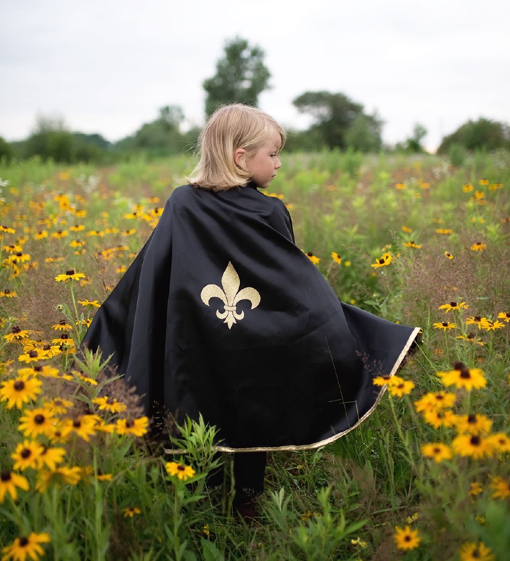 Great Pretenders Costume - Fleur De Lis - Black