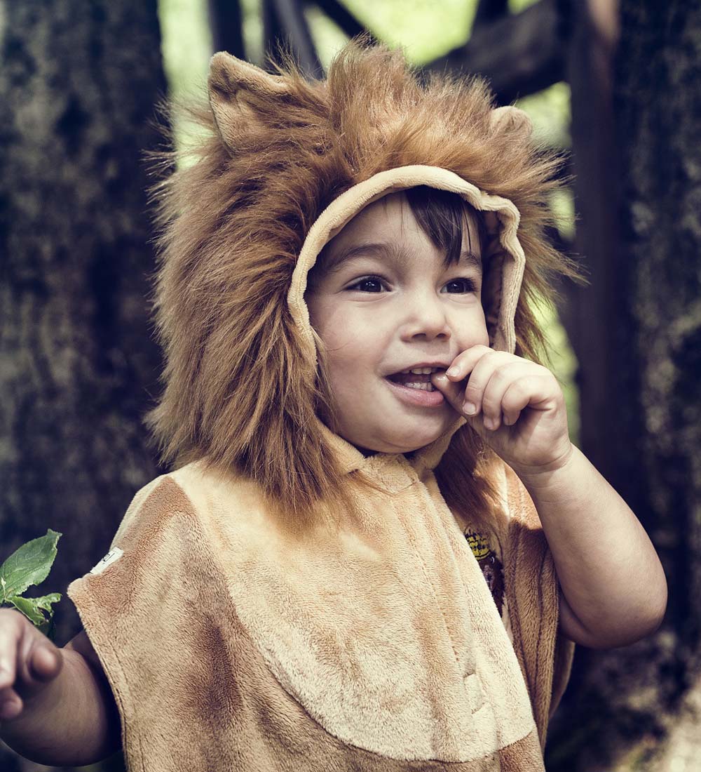 Souza Costume - Peke - Lion