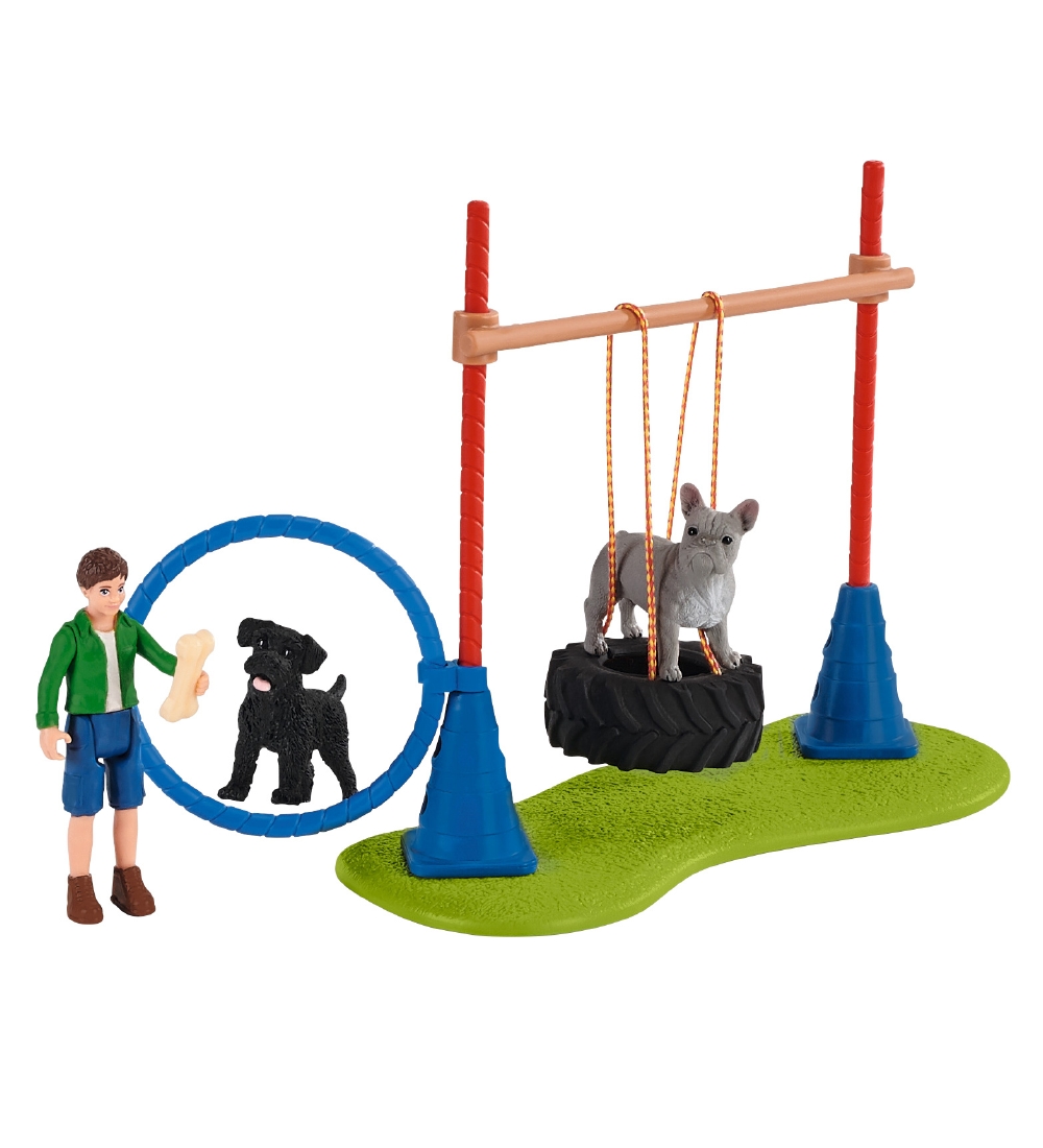 Schleich Farm World - 30x30 cm - Dog Training 42536
