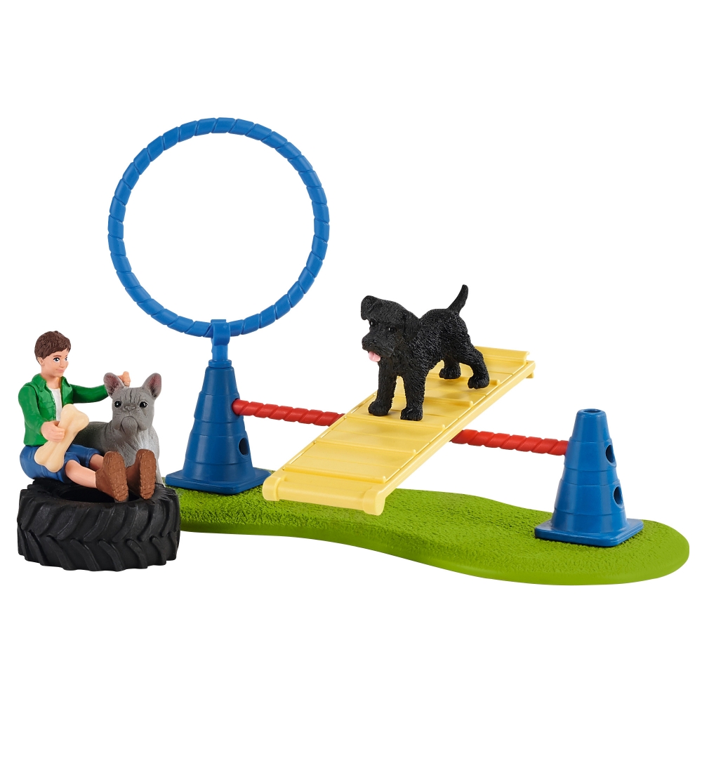 Schleich Farm World - 30x30 cm - Dog Training 42536