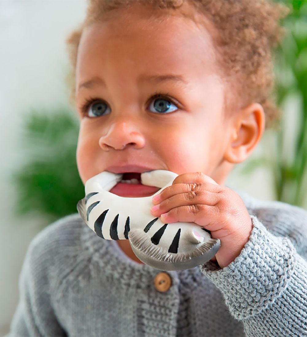 Oli & Carol Teether/Bracelet - Natural Rubber - Zebra Zoe