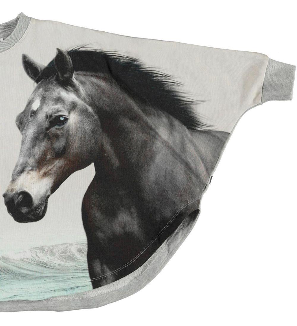 Molo Sweatshirt - Marcella - Horse Friends