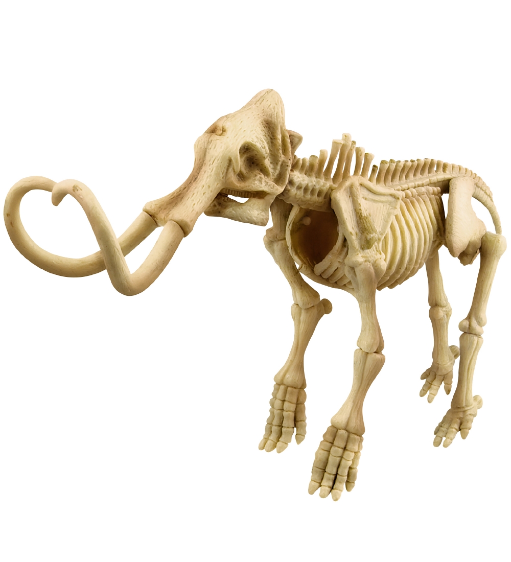 4M - KidzLabs - Mammoth Excavation