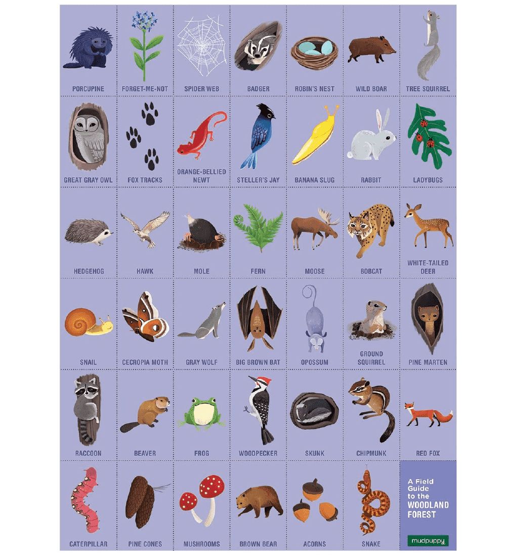Mudpuppy Puzzle - Search And Find - 64 pcs - Woodland Forest