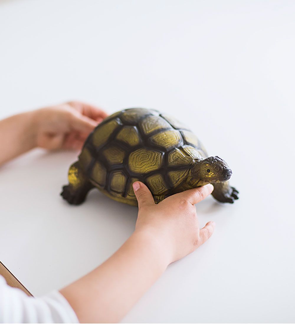 Green Rubber Toys Animals - 23 cm - Turtle