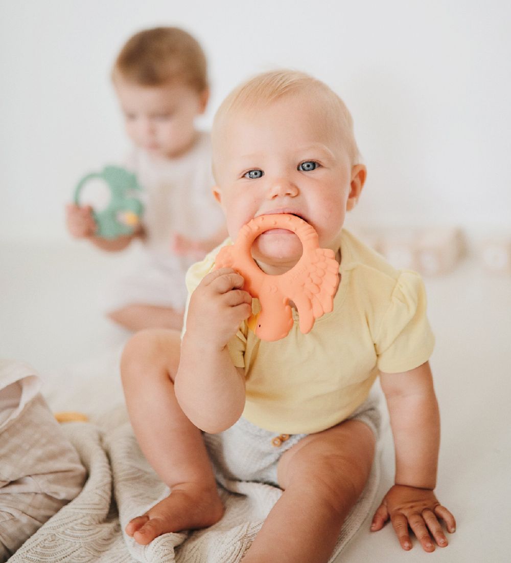 Natruba Teether - Natural Rubber - Parrot - Orange