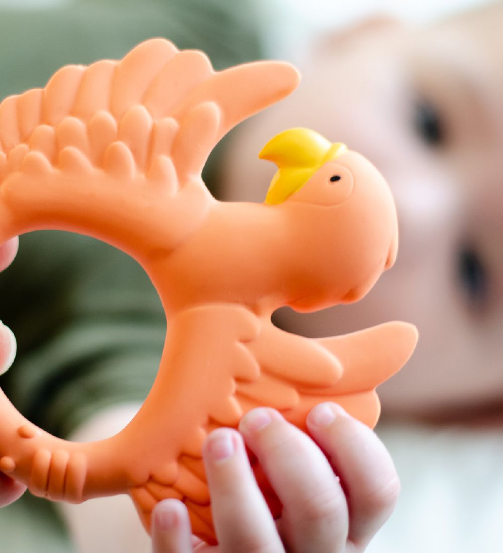Natruba Teether - Natural Rubber - Parrot - Orange