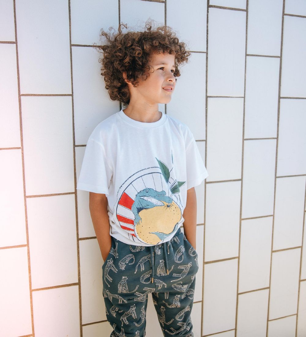 Soft Gallery T-shirt - Asger - Snow White