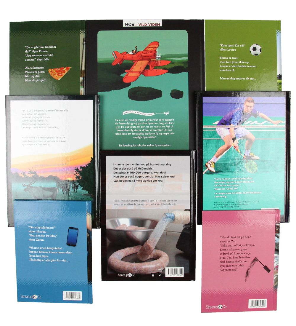 Straarup & Co Book Package - 4th Grade - Assorted - 8 Books