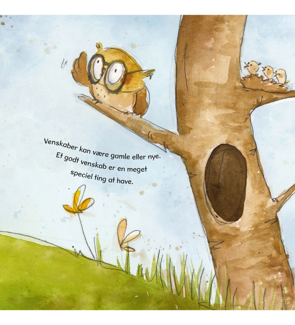 A Big Hug Book Book - Friendship Is Like A Activity Toy - Danish