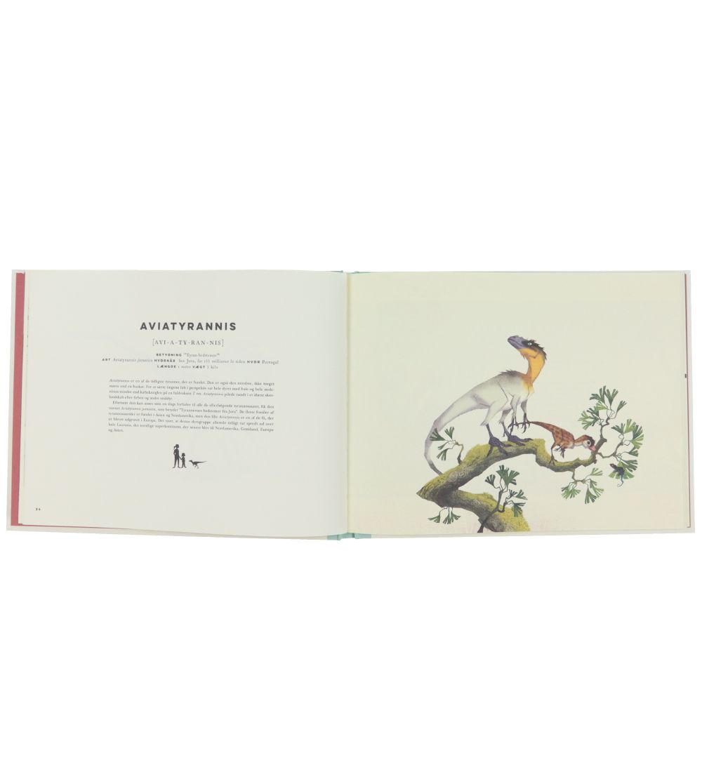 Karrusel Forlag Book - T-Rex Og Andre Tyrannosaurer - Danish