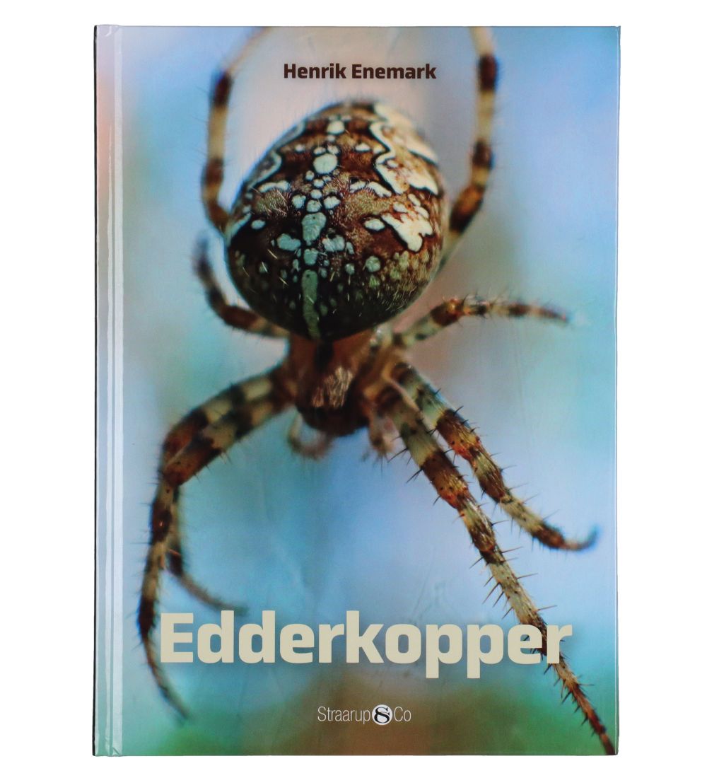 Straarup & Co Sampak - Play & Read - Spiders