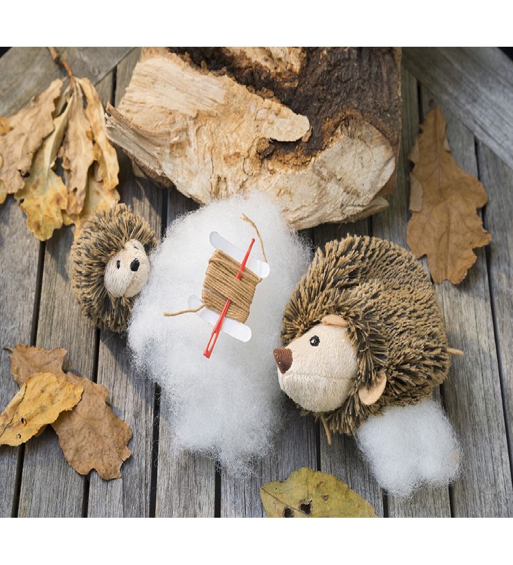 Gift In A Tin Creation Set - Craft - Hedgehog & Hoglet